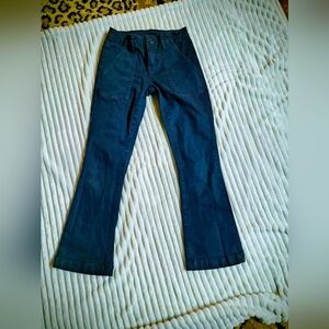 Blank NYC Dark Blue Cropped Pants